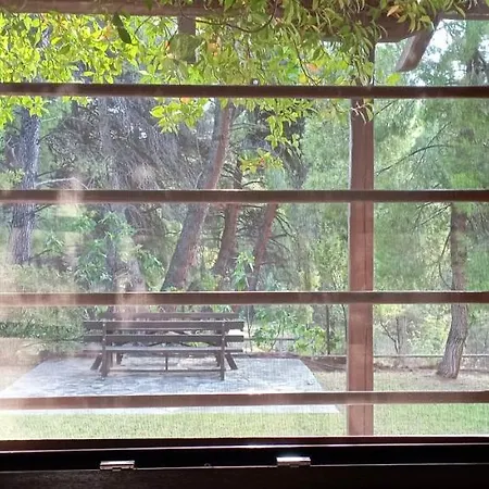 Villa High Aesthetics Maisonette In The Wood By The Sea