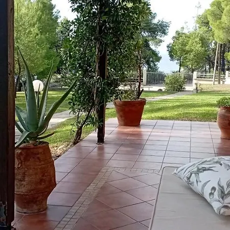 High Aesthetics Maisonette In The Wood By The Sea Villa Metamorfosi (Sithonia)