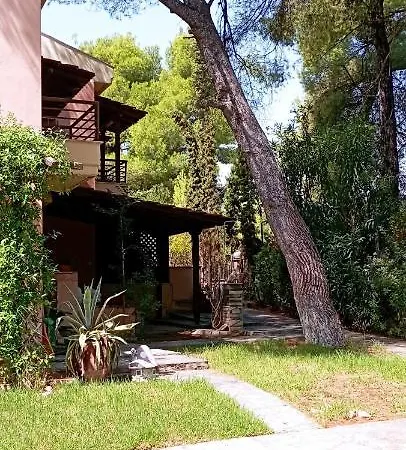 High Aesthetics Maisonette In The Wood By The Sea Villa Metamorfosi (Sithonia)