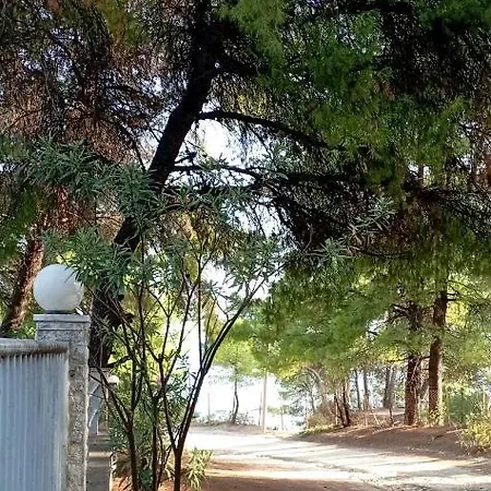 High Aesthetics Maisonette In The Wood By The Sea *