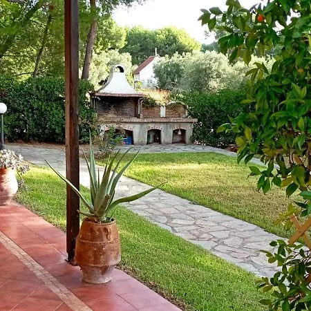 High Aesthetics Maisonette In The Wood By The Sea Villa