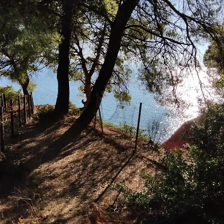 High Aesthetics Maisonette In The Wood By The Sea Villa Metamorfosi (Sithonia)