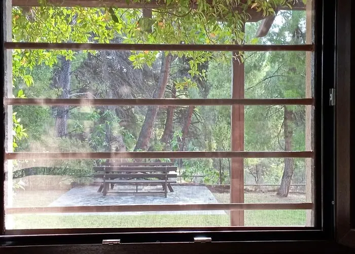 Villa High Aesthetics Maisonette In The Wood By The Sea